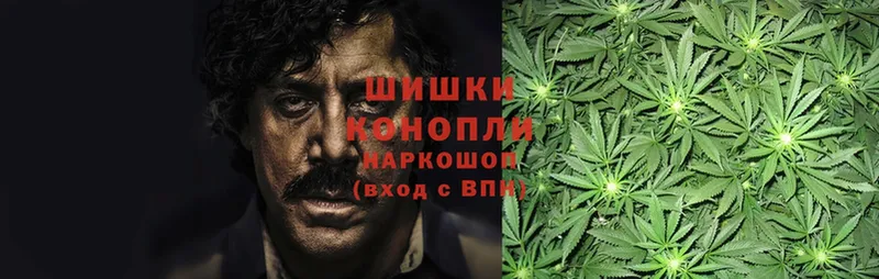 blacksprut как войти  продажа наркотиков  Агрыз  Конопля Ganja 